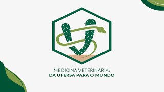 Logo da coleção